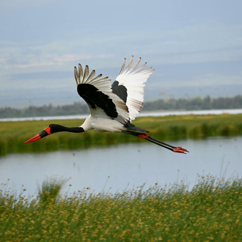 Sundays, South Africa
