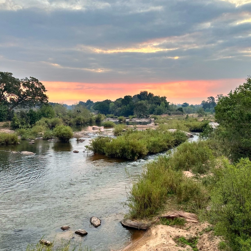 Kruger, South Africa