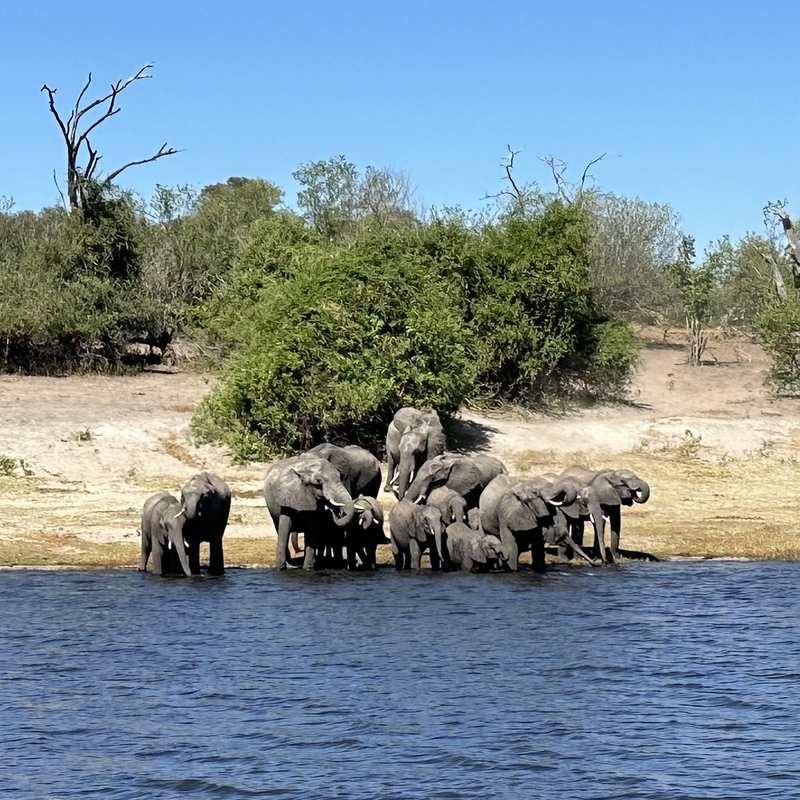 Chobe, Botswana